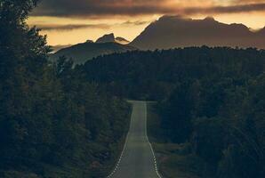 Scenic Norwegian Nordland Territory Road photo