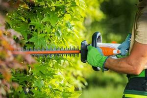 Garden with Professional Hedge Trimmer in His Hands photo