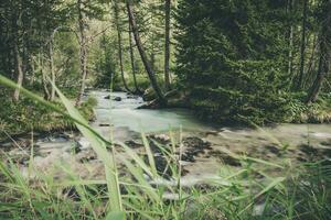 Scenic Woodland Place and the River photo