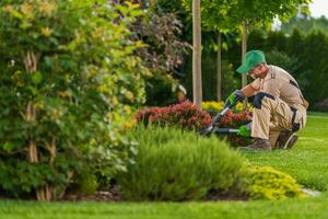 primavera hora estacional jardín mantenimiento foto