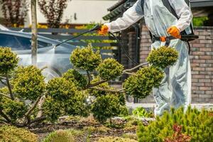 Safe Pesticide Application Performed by Gardener in Full Body Protective Uniform photo