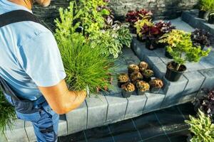 Landscaper Gardener Preparing For Planting photo