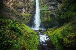 Mossy Oregon Waterfall photo