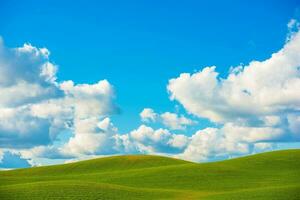 Scenic Meadow Background photo