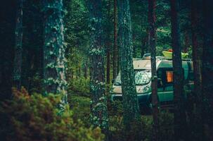 RV Forest Camping photo