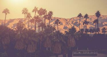 Palm Springs California Conceptual Panorama photo