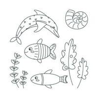 Set of marine elements of fish, shells, algae, dolphin in flat cartoon style. Line art. vector