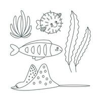 Set of marine elements of fish, puffer fish, seaweed in flat cartoon style. Line art. vector