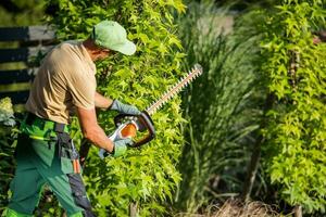 Landscaper Shaping Shrub with Hedge Cutter photo