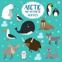 Vector illustration of set Arctic and Antarctic animals in cartoon style. Set of polar animals.