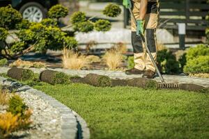 Landscaping Contractor Installing Sod For New Lawn. photo