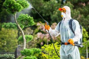 profesional jardinero fungicida jardín plantas foto