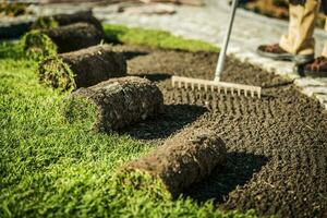 Lawn Care Contractor Prepares Area For Sod Installation. photo