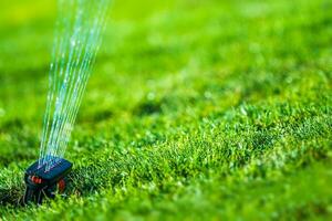 Garden Grass Sprinkler photo