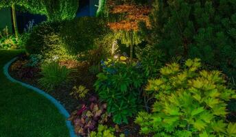 Illuminated Residential Backyard Rockery Garden photo