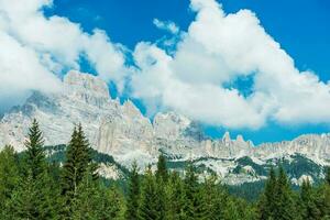 Summer Mountain Scenery photo