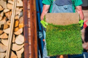 Grass Turfs Planting photo