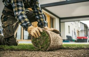 Caucasian Landscaper Installing Roll of New Natural Grass Turf photo