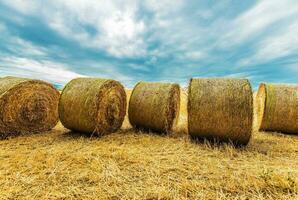 Hay Bales Agriculture Scenery photo