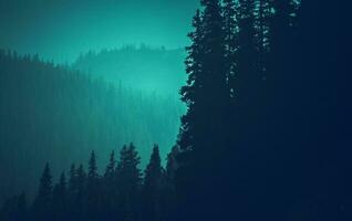 Colorado Woodland Bluish Color Grading Backdrop photo