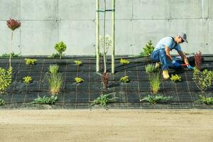 paisajismo y jardinería trabajador instalando goteo irrigación en su clientela jardín foto