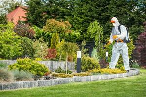 Beautiful Garden Fertilization Job photo