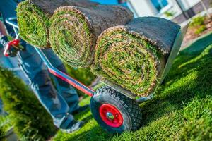 Moving Cart with Grass Turfs photo