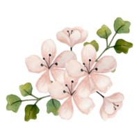 blomma bukett, blommig klämma konst element transparent bakgrund png