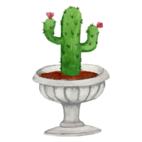 cactus in pot klem kunst element transparant achtergrond png