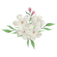 bloem boeket, bloemen klem kunst element transparant achtergrond png