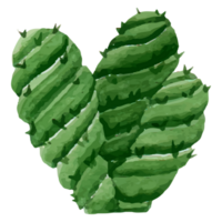 cactus klem kunst element transparant achtergrond png