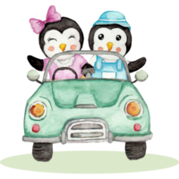 fofa pinguim casal grampo arte elemento transparente fundo png