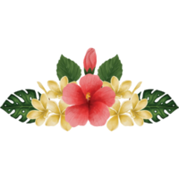 botanisch hibiscus bloem, bloemen boeket klem kunst element transparant achtergrond png