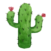 cactus klem kunst element transparant achtergrond png