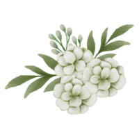 Flower white rose, floral bouquet Clip art Element Transparent Background png