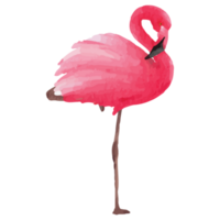 roze flamingo tropisch klem kunst element transparant achtergrond png