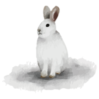 lapin hiver animal polaire animal agrafe art élément transparent Contexte png