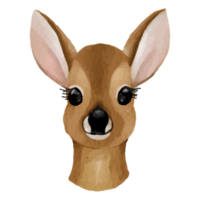 Baby Deer Clip art Element Transparent Background png