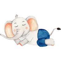 süß Elefant mit ein Blume Karikatur Hand gezeichnet Clip Kunst Element transparent Hintergrund png