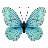 aquarelle papillon agrafe art élément transparent Contexte png