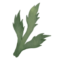 blomma blad klämma konst element transparent bakgrund png