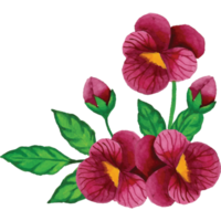 Pansy Flowers Bouquets Clip art Element Transparent Background png
