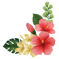 botánico hibisco flor, floral ramo de flores acortar Arte elemento transparente antecedentes png