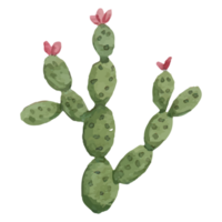 cactus klem kunst element transparant achtergrond png