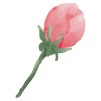 Blume Clip Kunst Element transparent Hintergrund png