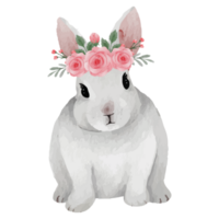 Cute Rabbit Clip art Element Transparent Background png