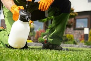 Caucasian Men Fighting Grass Lawn Weeds photo