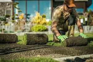 Natural Grass Installation photo