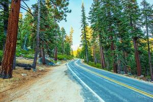 Highway Through Sierra Nevada photo