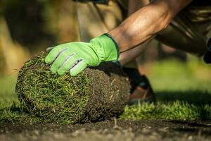 Gardener Installing Natural Grass Turfs in Garden photo